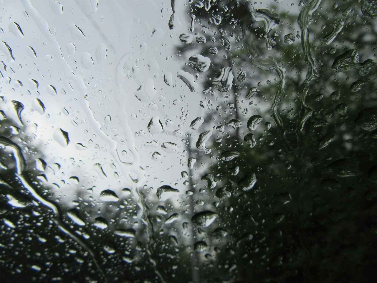 What Makes Bosch Icon Windshield Wipers Stand Out?