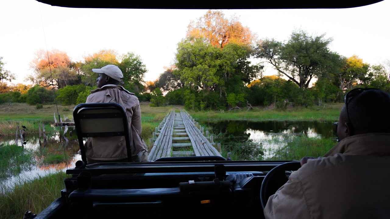 What Are the Best Windshield Wipers for Jeep Wranglers?