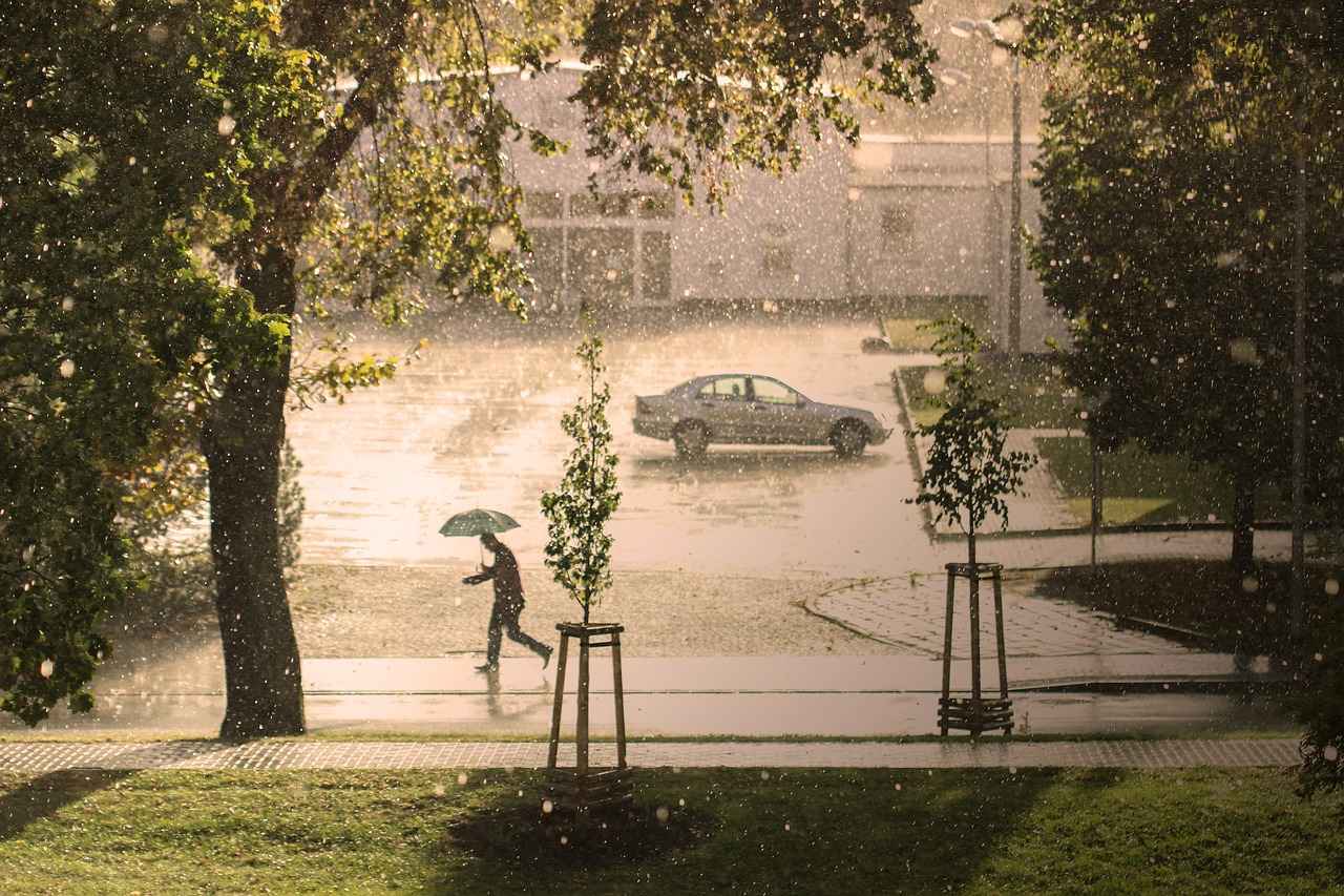 Are Rain Sensing Windshield Wipers Worth the Investment?