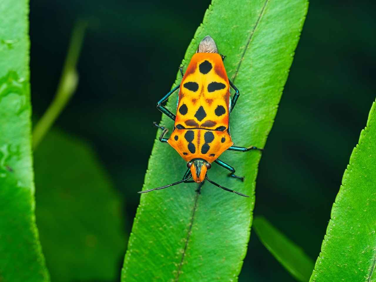 What Types of Windshield Wipers Are Available at Target?