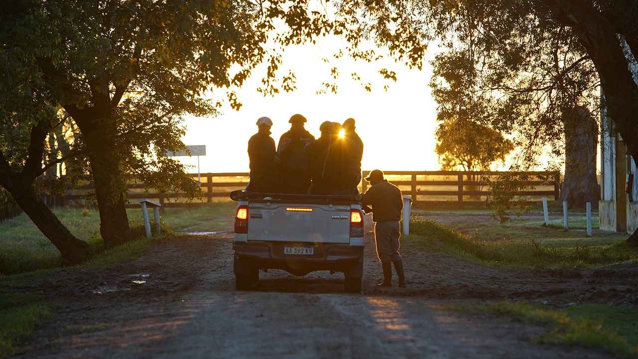 Why Is Wiper Quality Important for Your Tacoma?
