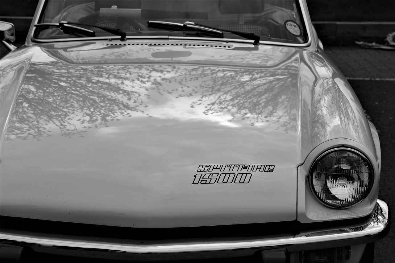 How Often Should You Replace Your Windshield Wipers?