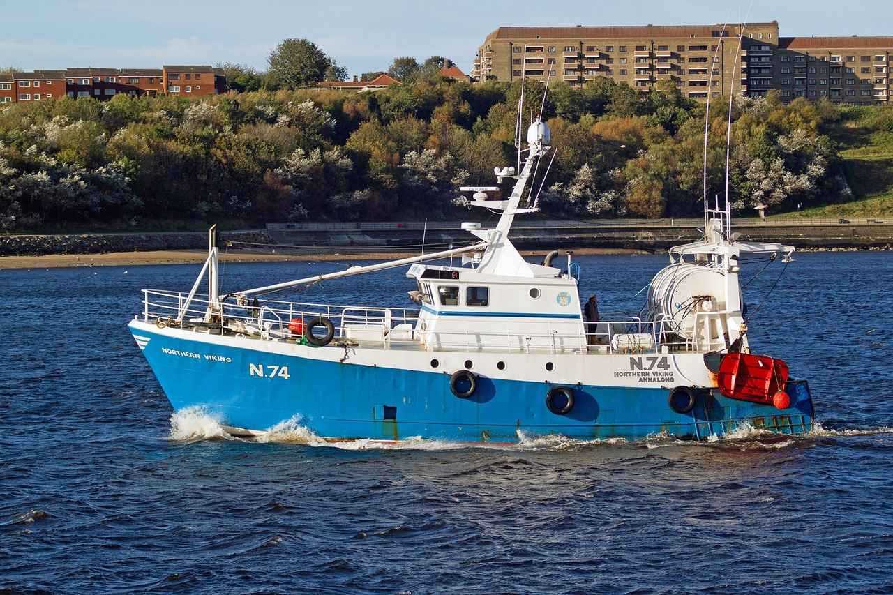 What Signs Indicate It's Time for a Replacement?