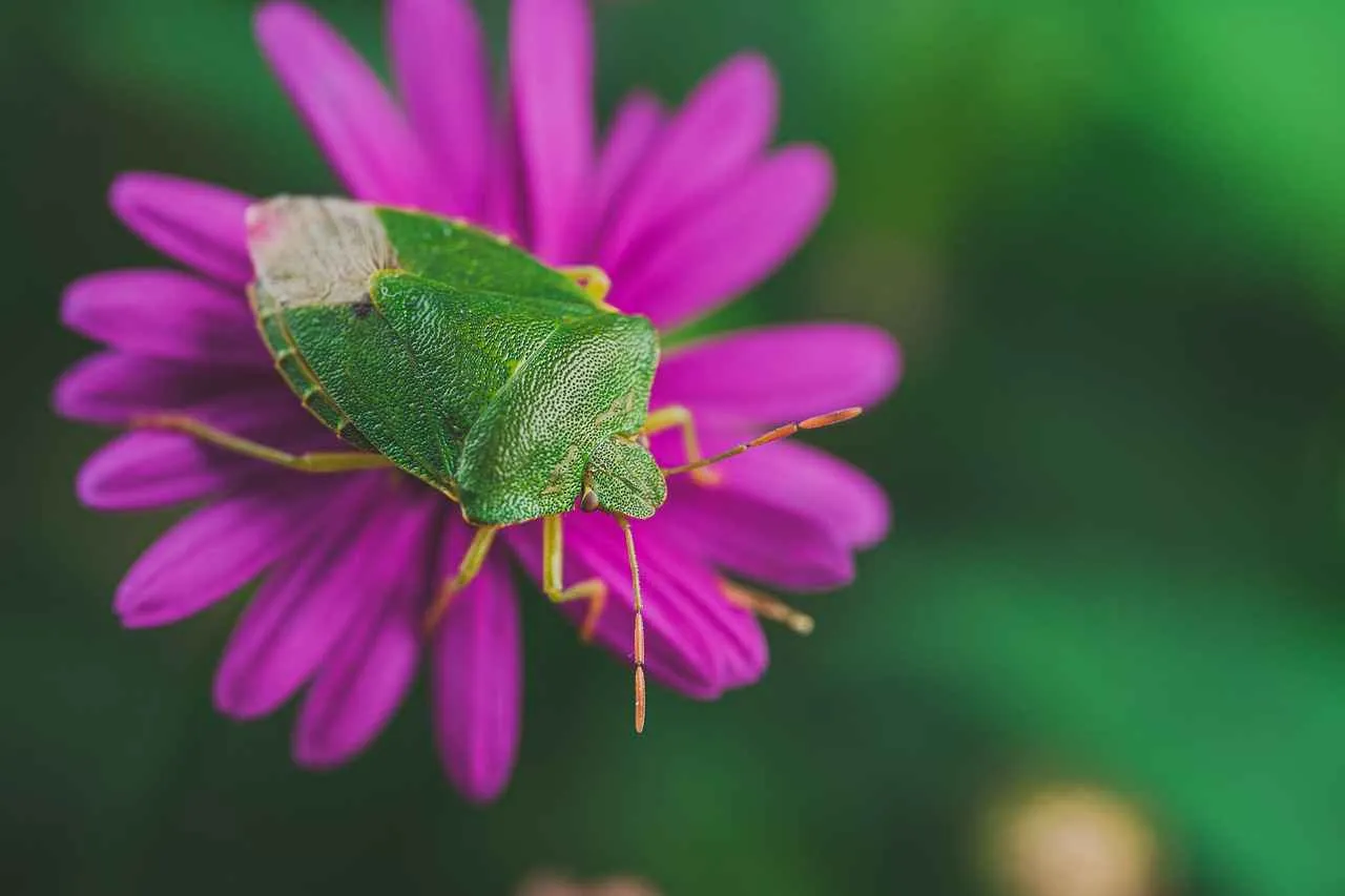 Windshield Wipers Nearby: Find the Best Windshield Wipers Near You Windshield Wipers Nearby: Find the Best Windshield Wipers Near You