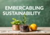 Embracing Sustainability in Your Daily Life: A Comprehensive Guide Embracing Sustainability in Your Everyday Life: A Complete Guide