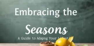 Embracing the Seasons: A Guide to Transitioning Your Lifestyle Embracing the Seasons: A Guide to Adapting Your Lifestyle
