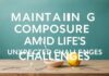 The Art of Keeping It Together When Life Throws a Wrench Maintaining Composure Amid Life's Unexpected Challenges