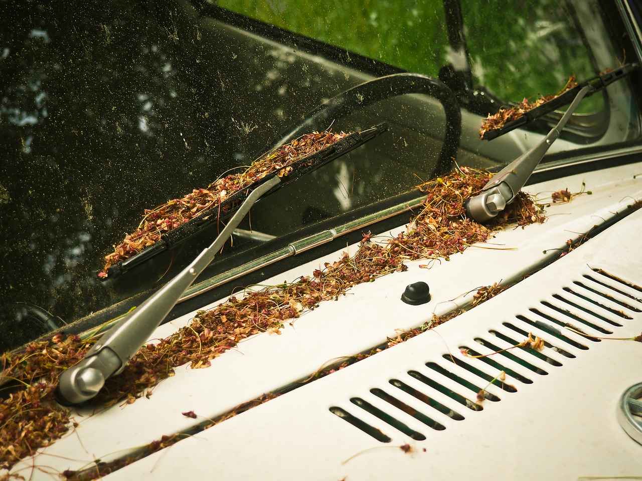 What Are the Signs That Indicate Wiper Replacement?