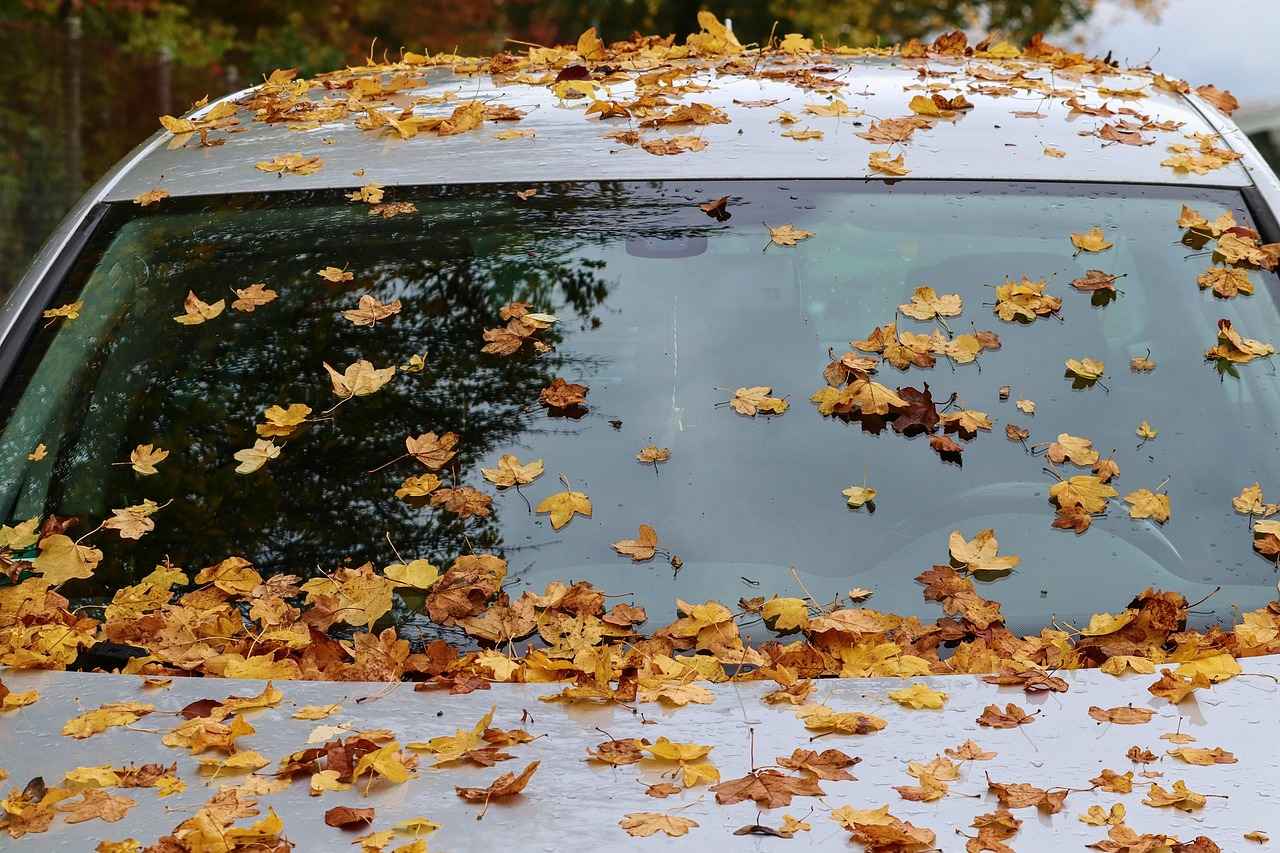 What Tools Do You Need for Installing Windshield Wipers?