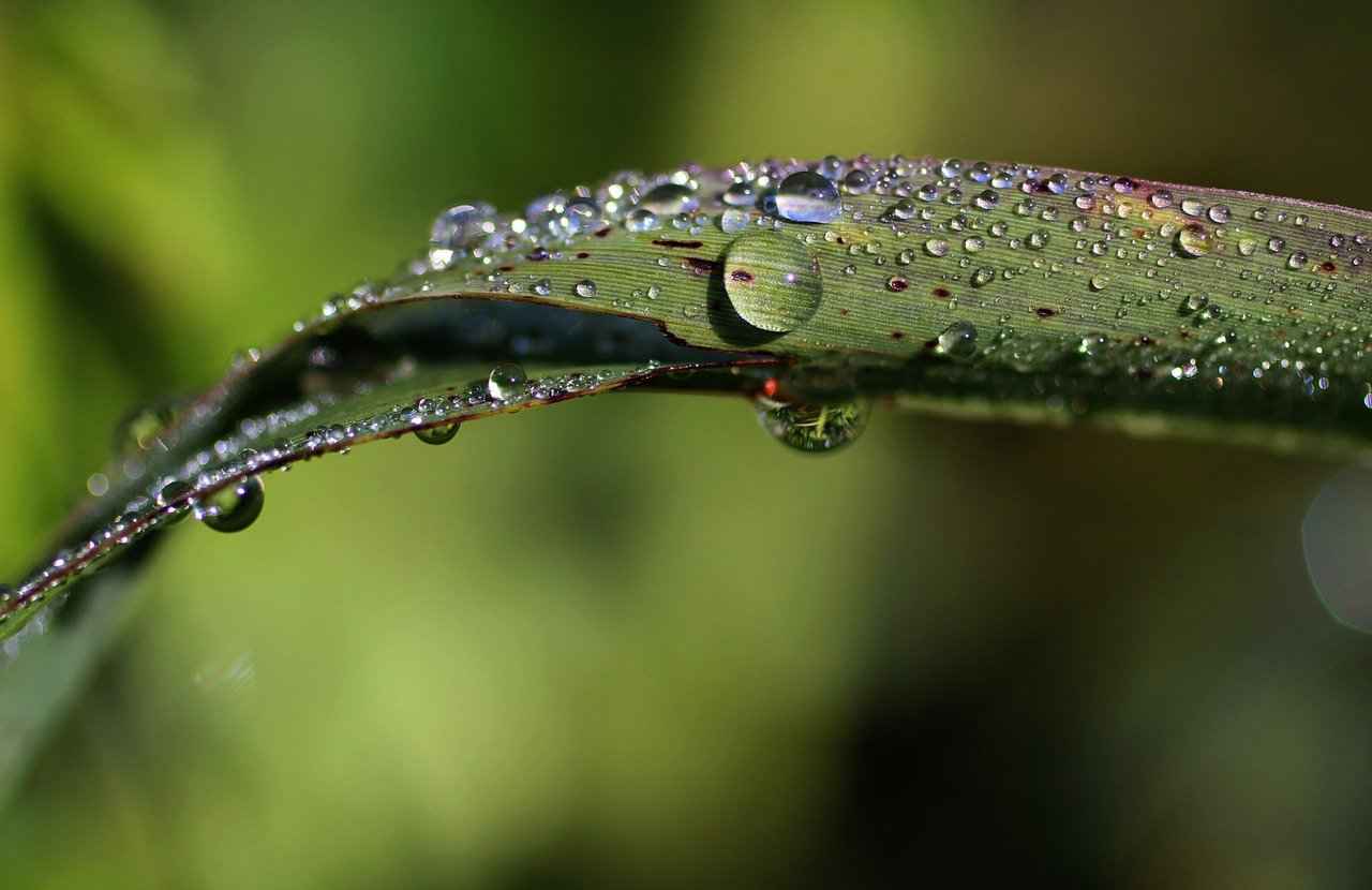 How Do Rain Sensing Windshield Wipers Work?
