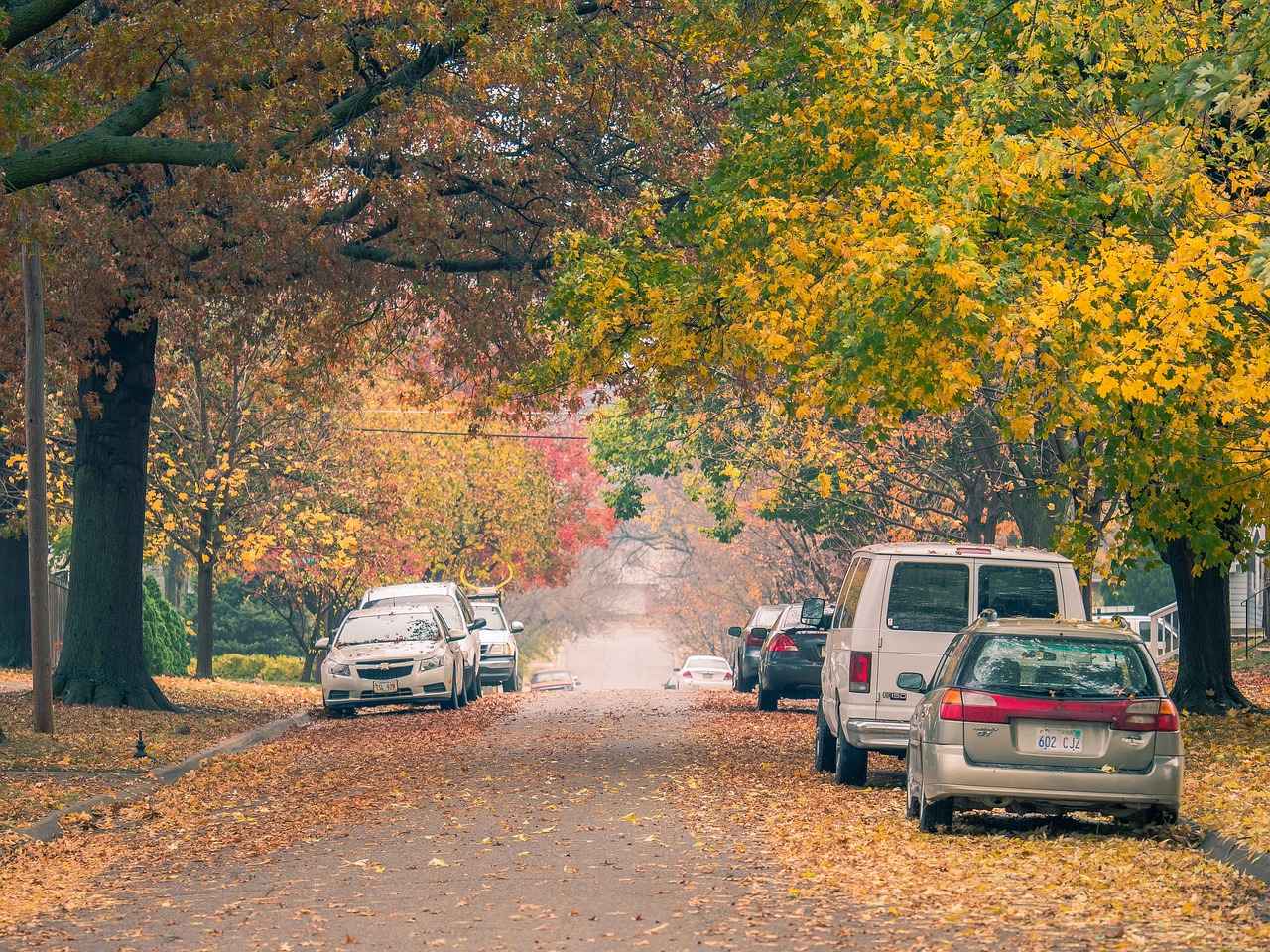 Step-by-Step: How to Replace Windshield Wipers Easily