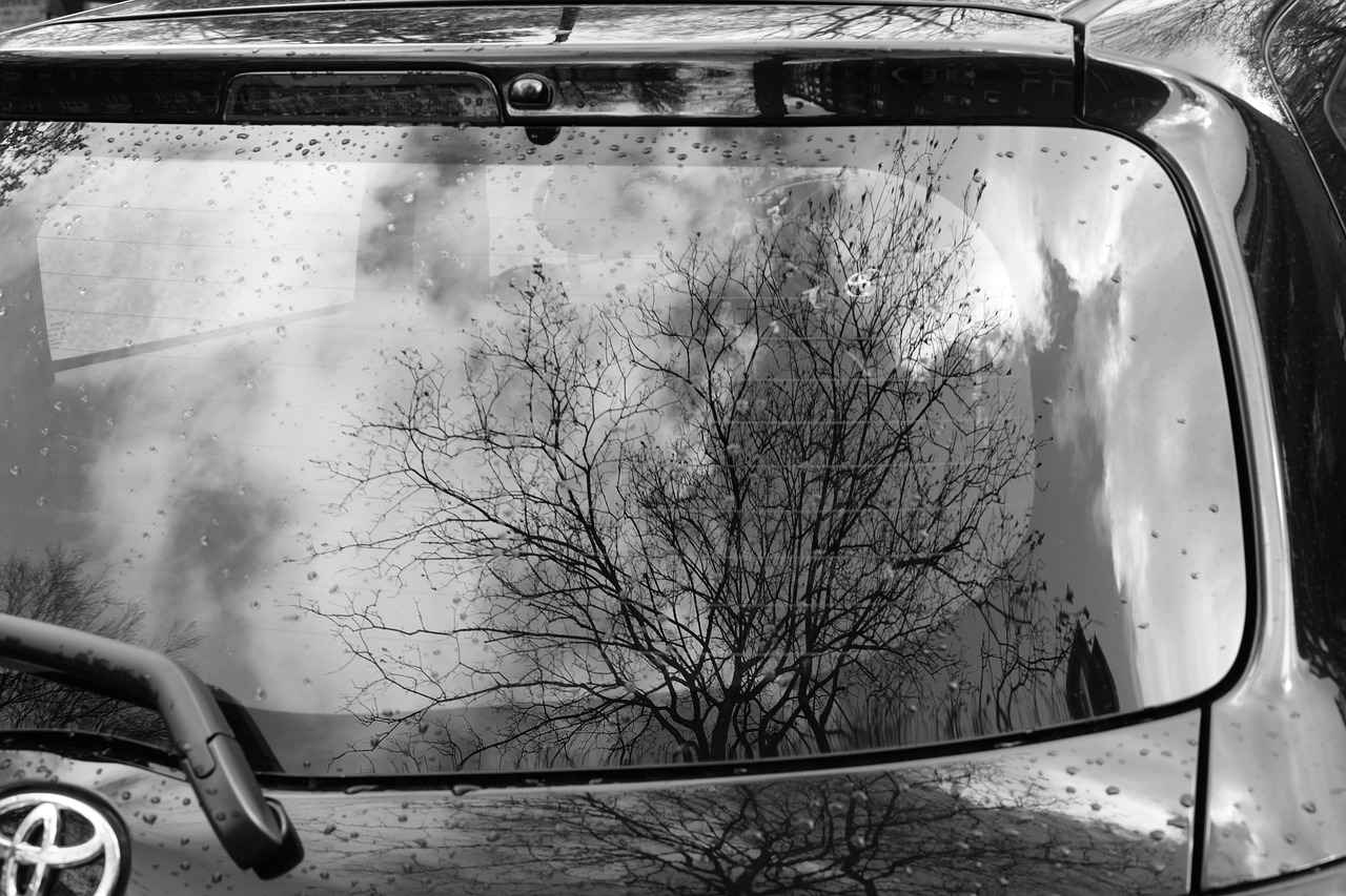Toyota RAV4 Windshield Wipers: Best Wipers for Your Toyota SUV